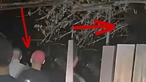 Las Vegas alien video shows at least 2 ‘beings’ using ‘cloaking’ device: ‘I’m opening it up to peer review’ – Fox News