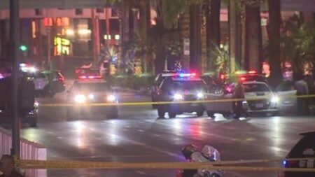 Man charged in shooting on Las Vegas Strip that killed 2 people – NBC News