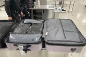 Woman tries to smuggle 59 pounds of marijuana out of the country, authorities say – The Independent