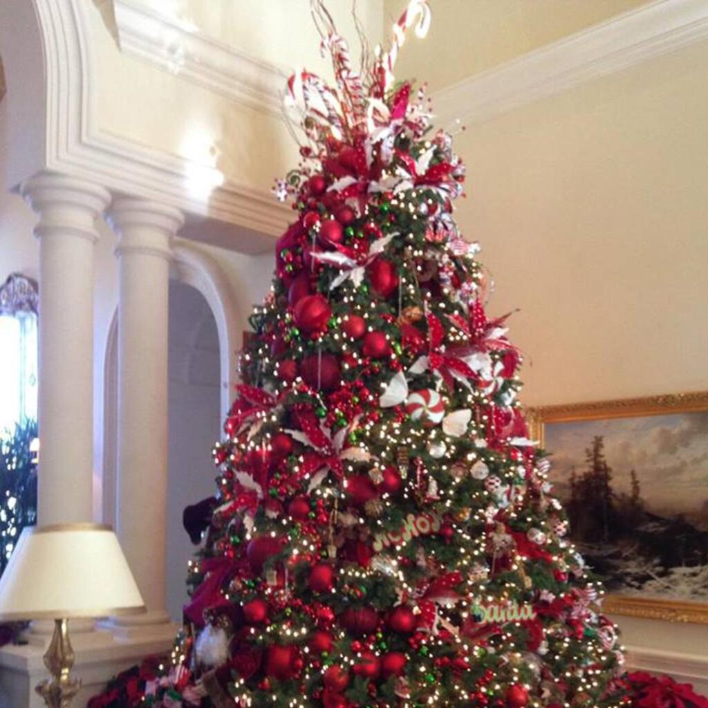 Five Stunning Trees Near Las Vegas Compete to Be the U.S. Capitol Christmas Tree 5 trees near Las Vegas finalists for U.S. Capitol Christmas Tree – KLAS 8 News Now
