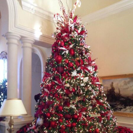 5 trees near Las Vegas finalists for U.S. Capitol Christmas Tree – KLAS 8 News Now
