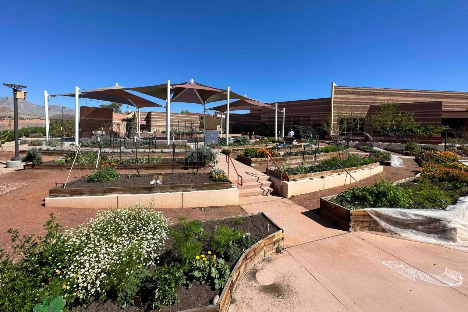 “‘Pretty Sophisticated’: Agriculture Chief Amazed by Las Vegas School’s Impressive Garden” ‘Pretty sophisticated’: Las Vegas school’s garden impresses Agriculture chief – Las Vegas Review-Journal