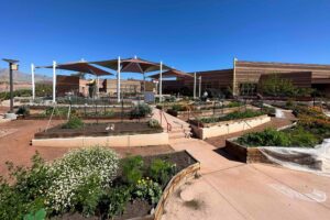 ‘Pretty sophisticated’: Las Vegas school’s garden impresses Agriculture chief – Las Vegas Review-Journal