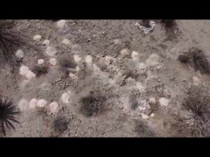 Piles of cremated human remains reported outside Las Vegas – USA Today