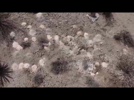 Piles of cremated human remains reported outside Las Vegas – USA Today