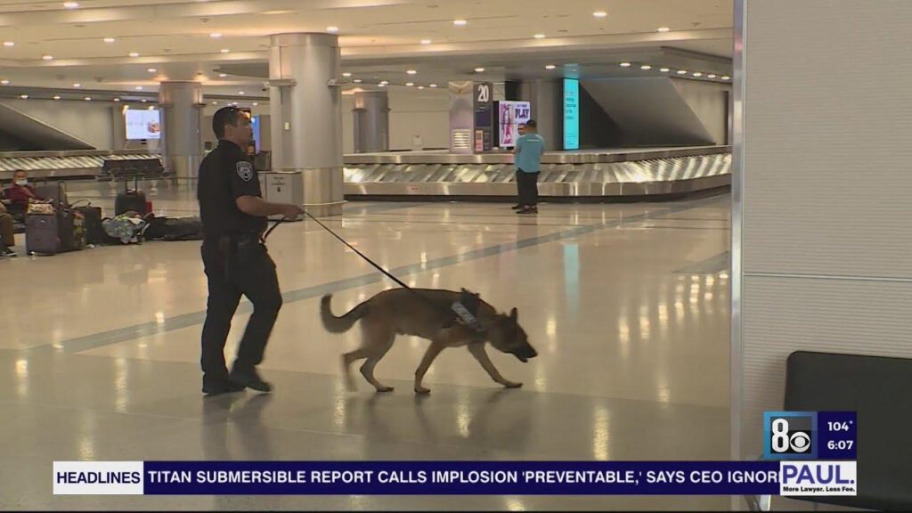 Caught Over a Mango, Not Fentanyl: Las Vegas Airport Lacks Drug Dogs, Says Acting U.S. Attorney Get busted for a mango, but not fentanyl; Las Vegas airport has no drug dogs, acting U.S. attorney says – KLAS 8 News Now