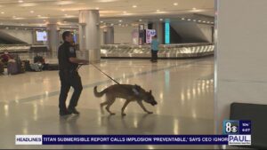 Get busted for a mango, but not fentanyl; Las Vegas airport has no drug dogs, acting U.S. attorney says – KLAS 8 News Now