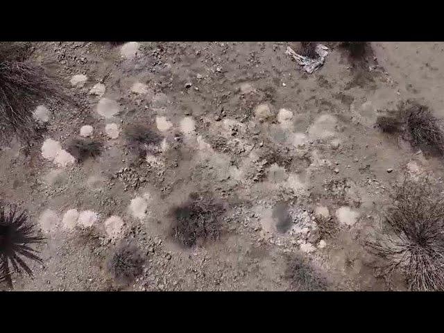 Shocking Discovery: Piles of Cremated Human Remains Found Outside Las Vegas Piles of cremated human remains reported outside Las Vegas – Yahoo