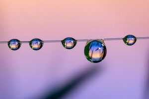 Marco Rubio – Britannica