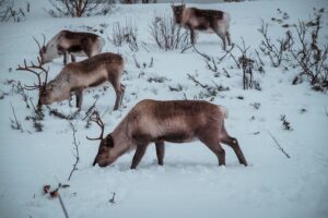 Reno ranked among the top ‘most educated’ cities in US – Reno Gazette Journal