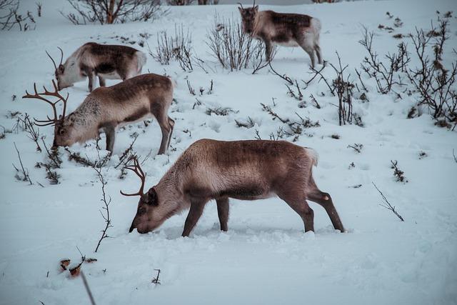 Reno Ranks as One of the Most Educated Cities in the US Reno ranked among the top ‘most educated’ cities in US – Reno Gazette Journal