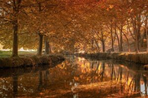 Tomas Cruz, decorated U.S. serviceman and beloved Guamanian patriarch, dies – Las Vegas Sun