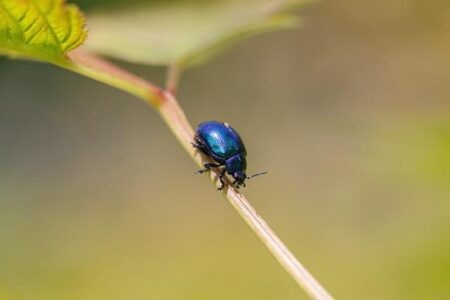 Exoskeleton, AI beauty mirror, more weird tech unveiled at CES 2026 – USA Today
