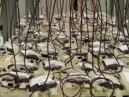 The Pro-Israel Donor With a $100 Million Plan to Elect Trump (Published 2024) – The New York Times