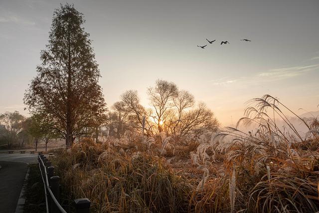 Soaring Prices Drive Sharp Drop in Las Vegas Visitor Numbers ‘Ridiculous prices’ blamed for slump in Las Vegas visitor numbers – The Independent