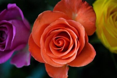 Jon Gruden resigns as coach of Las Vegas Raiders – NBC Sports Bay Area & California