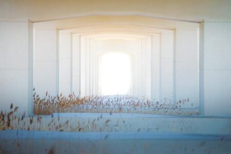 2024: The Year We Go Deeper Underground with Tunnels Deeper Underground: 2024 Is the Year of the Tunnel – Rolling Stone