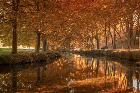 Andy Cruz believes destiny awaits him in Las Vegas – DAZN