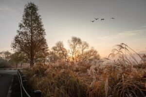 As Las Vegas deals with decline in visitors from Canada, some businesses turn to incentives – CityNews Ottawa