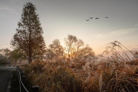 As Las Vegas deals with decline in visitors from Canada, some businesses turn to incentives – CityNews Ottawa