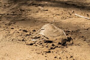 Federal lawsuit filed against Las Vegas school mask mandate – nbcnews.com