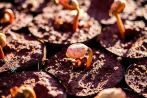 Exposing Qatar’s latest influence efforts in US higher education – opinion – The Jerusalem Post