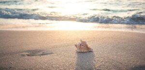 5 ways that Trump’s policies are impacting summer vacation – The Washington Post