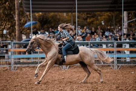 Teen rider accused of stabbing 3 horses at Las Vegas race was ‘stalker,’ injured horse’s owner says – NBC News