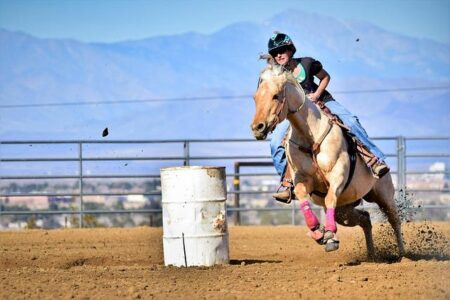 Teenage Barrel Racing Competitor Accused of Stabbing Horses at Las Vegas Event – U.S. News & World Report