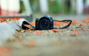 What the Sports Industry Can Learn From SEICon III – VegasSlotsOnline