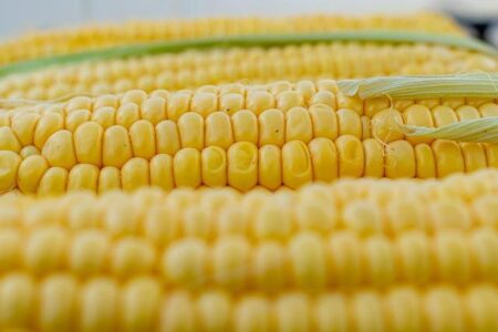 Las Vegas corn mazes and pumpkin patches 2026. A complete guide – Currently.com Las Vegas corn mazes and pumpkin patches 2026. A complete guide – Currently.com